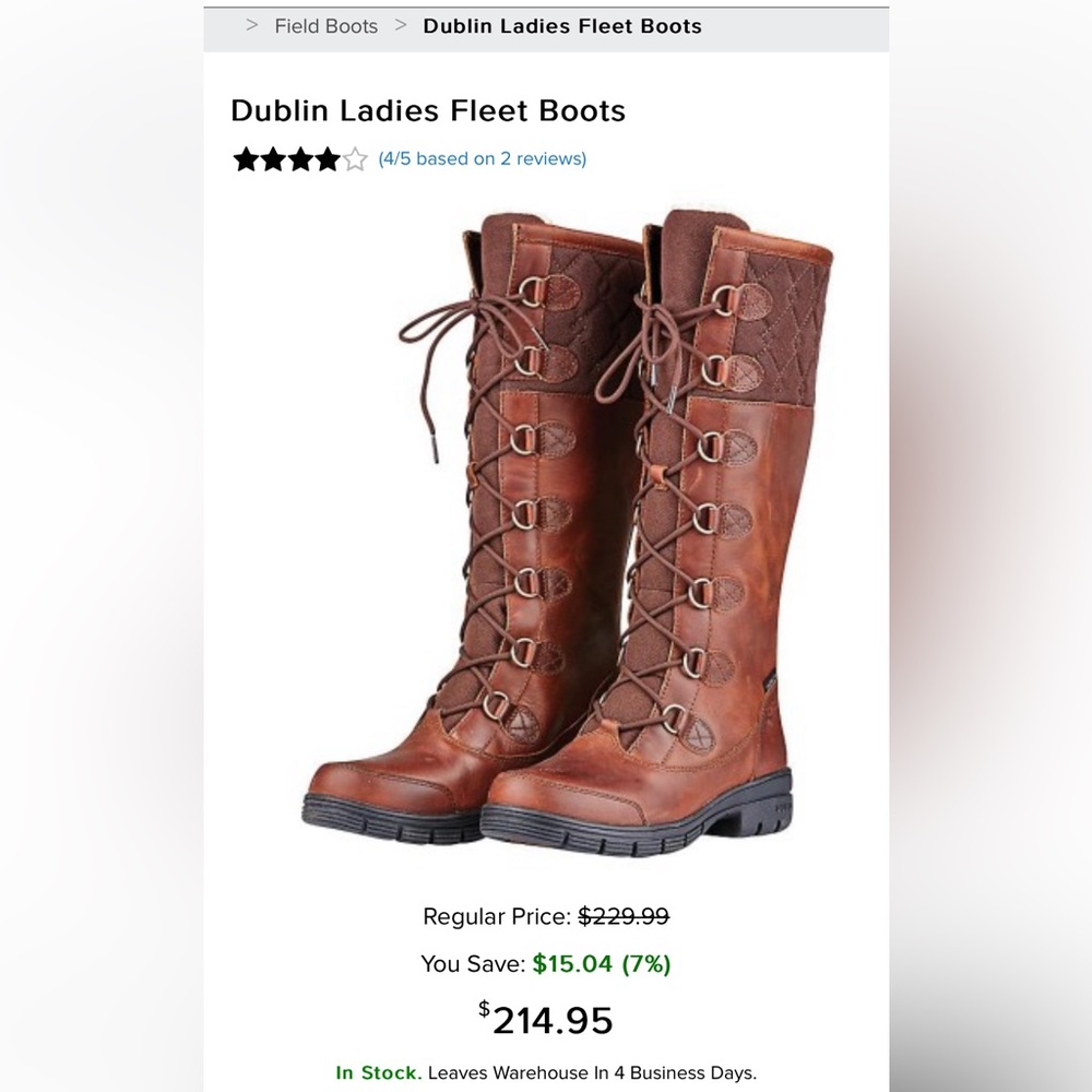 Dublin Fleet 8.5 insulated boots